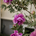 24mai-1