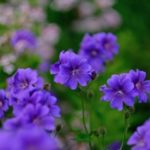 IMG_0055