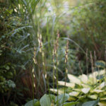 Ingunnshage-110