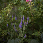 Ingunnshage-112