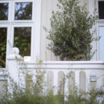 Ingunnshage-127