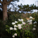 Ingunnshage-140