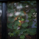 Ingunnshage-170