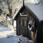 ingunnshagefebruar-32