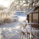 ingunnshagefebruar-36