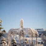 ingunnshagefebruar-47