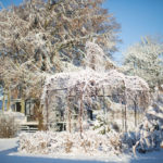 ingunnshagefebruar-58