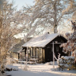 ingunnshagefebruar-8