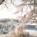 ingunnshagefebruar-89