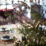 ingunnshagefebruarjul-15