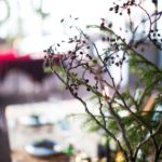ingunnshagefebruarjul-16