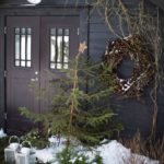 ingunnshagefebruarjul-201
