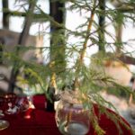 ingunnshagefebruarjul-30