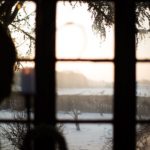 ingunnshagefebruarjul-44