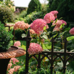 Fotograf Kristine Hellemo_Ingunns Hage 8.aug-2778