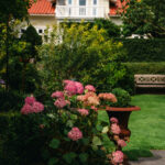 Fotograf Kristine Hellemo_Ingunns Hage 8.aug-2783