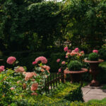 Fotograf Kristine Hellemo_Ingunns Hage 8.aug-2787