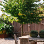 Fotograf Kristine Hellemo_Ingunns Hage 8.aug-2950