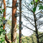 Fotograf Kristine Hellemo_Ingunns Hage 8.aug-3149