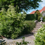 Fotograf Kristine Hellemo_Ingunns hage_PB-3563