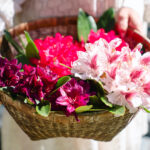 Fotograf Kristine Hellemo_Ingunns hage_PB-3691