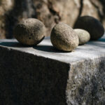 Fotograf Kristine Hellemo_Ingunns hage_PB-3711