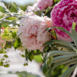 Fotograf Kristine Hellemo_Ingunns hage_PB-3730