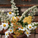 Fotograf Kristine Hellemo_Ingunns hage_PB-3860