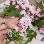 Fotograf Kristine Hellemo_Ingunns hage_PB-4292