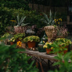 _Fotograf Kristine Hellemo_ingunnshage-4713