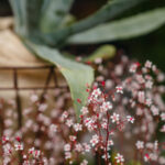 _Fotograf Kristine Hellemo_ingunnshage-4748