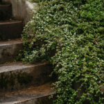 _Fotograf Kristine Hellemo_ingunnshage-4774