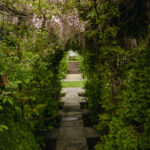 _Fotograf Kristine Hellemo_ingunnshage-4813