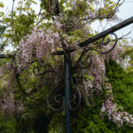 _Fotograf Kristine Hellemo_ingunnshage-4815