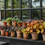 _Fotograf Kristine Hellemo_ingunnshage-4818