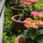 _Fotograf Kristine Hellemo_ingunnshage-4828