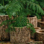 _Fotograf Kristine Hellemo_ingunnshage-4871