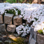 Halvor&Ingrunn_Fotograf Kristine Hellemo Larsen_PB-7359