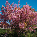 Halvor&Ingrunn_Fotograf Kristine Hellemo Larsen_PB-7401