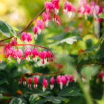 Halvor&Ingrunn_Fotograf Kristine Hellemo Larsen_PB-7408