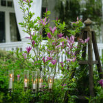 Halvor&Ingunn_PB_Fotograf Kristine Hellemo Larsen_-8881