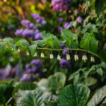 Halvor&Ingunn_PB_Fotograf Kristine Hellemo Larsen_-8901