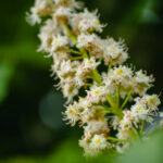 Halvor&Ingunn_PB_Fotograf Kristine Hellemo Larsen_-8908