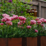 Halvor&Ingunn_PB_Fotograf Kristine Hellemo Larsen_-8959