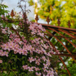 Halvor&Ingunn_PB_Fotograf Kristine Hellemo Larsen_-8965