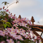 Halvor&Ingunn_PB_Fotograf Kristine Hellemo Larsen_-8966