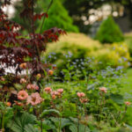 Halvor&Ingunn_PB_Fotograf Kristine Hellemo Larsen_-9026