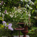 Ingunns rosehage_PB_Fotograf Kristine Hellemo_-0993