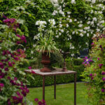 Ingunns rosehage_PB_Fotograf Kristine Hellemo_-1017