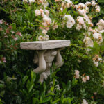 Ingunns rosehage_PB_Fotograf Kristine Hellemo_-1023